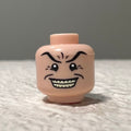 Flesh Clown HEAD ONLY